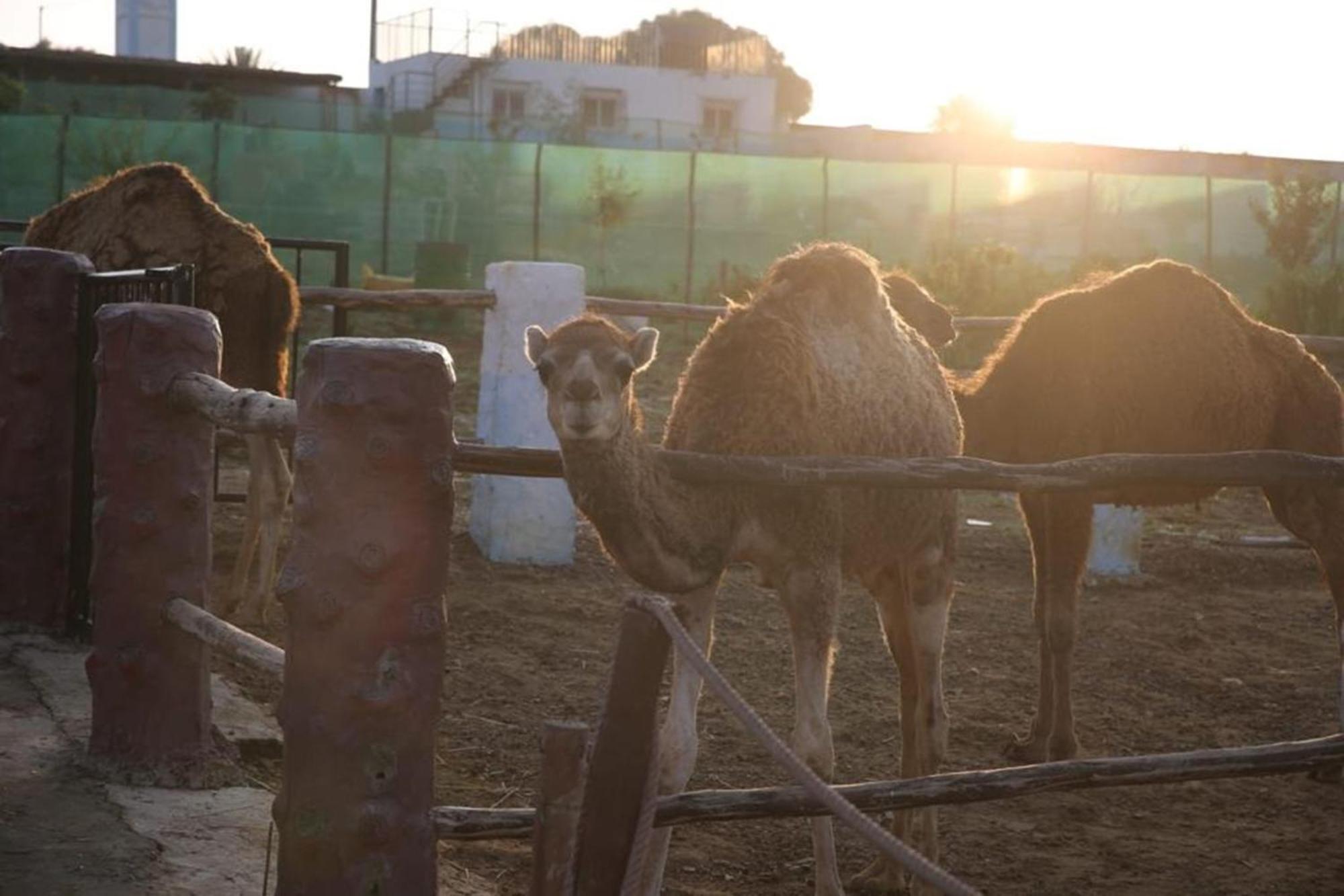 בית הארחה Tétouan 	La Granja מראה חיצוני תמונה