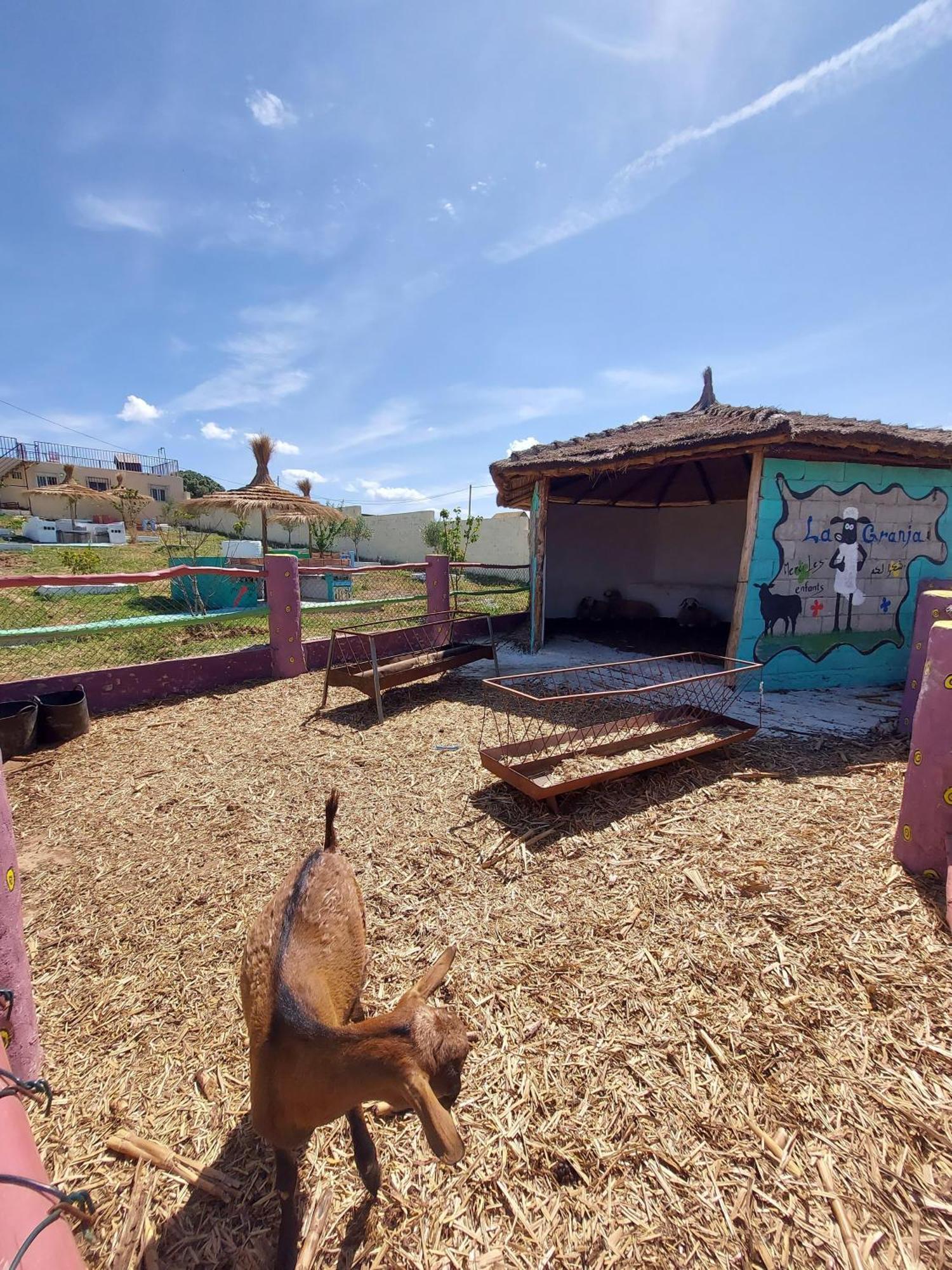 בית הארחה Tétouan 	La Granja מראה חיצוני תמונה